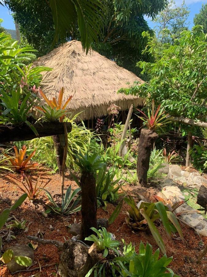 Mabrika Resort Dominica Guillet Dış mekan fotoğraf